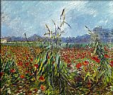 Vincent van Gogh Field with Poppies 2 painting